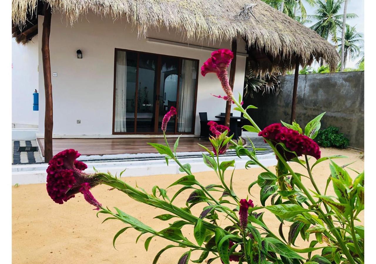 The Blue Lagoon Resort 칼피티야 외부 사진